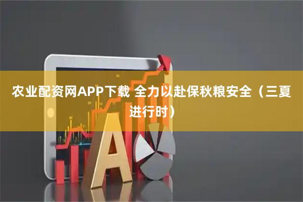 农业配资网APP下载 全力以赴保秋粮安全（三夏进行时）