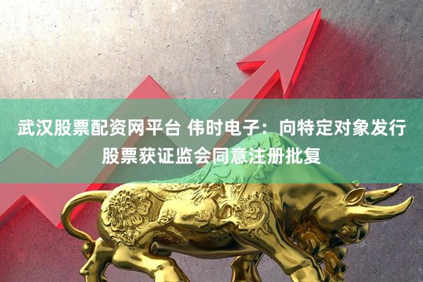 武汉股票配资网平台 伟时电子：向特定对象发行股票获证监会同意注册批复