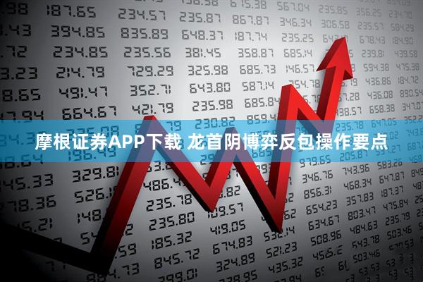 摩根证券APP下载 龙首阴博弈反包操作要点